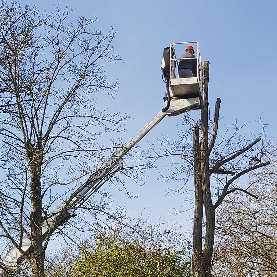 placeholder image-sq