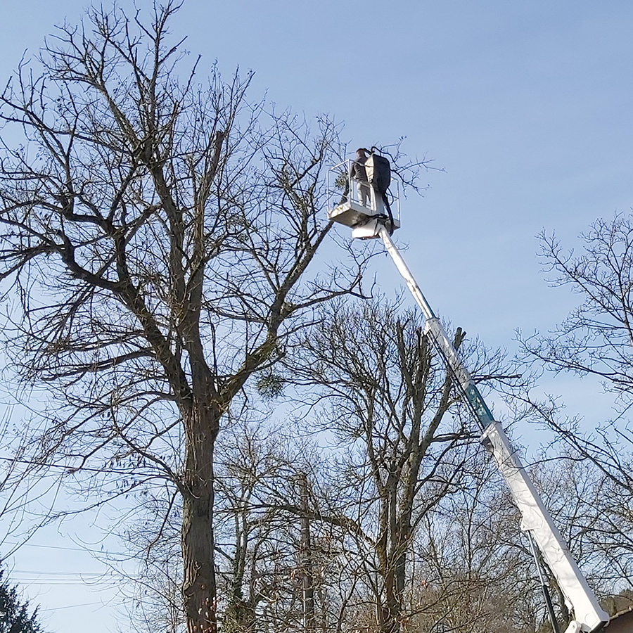 placeholder image-sq