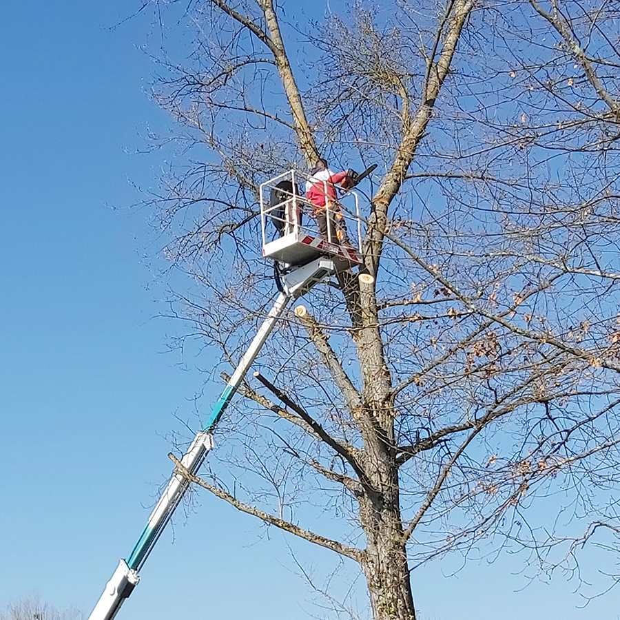 placeholder image-sq