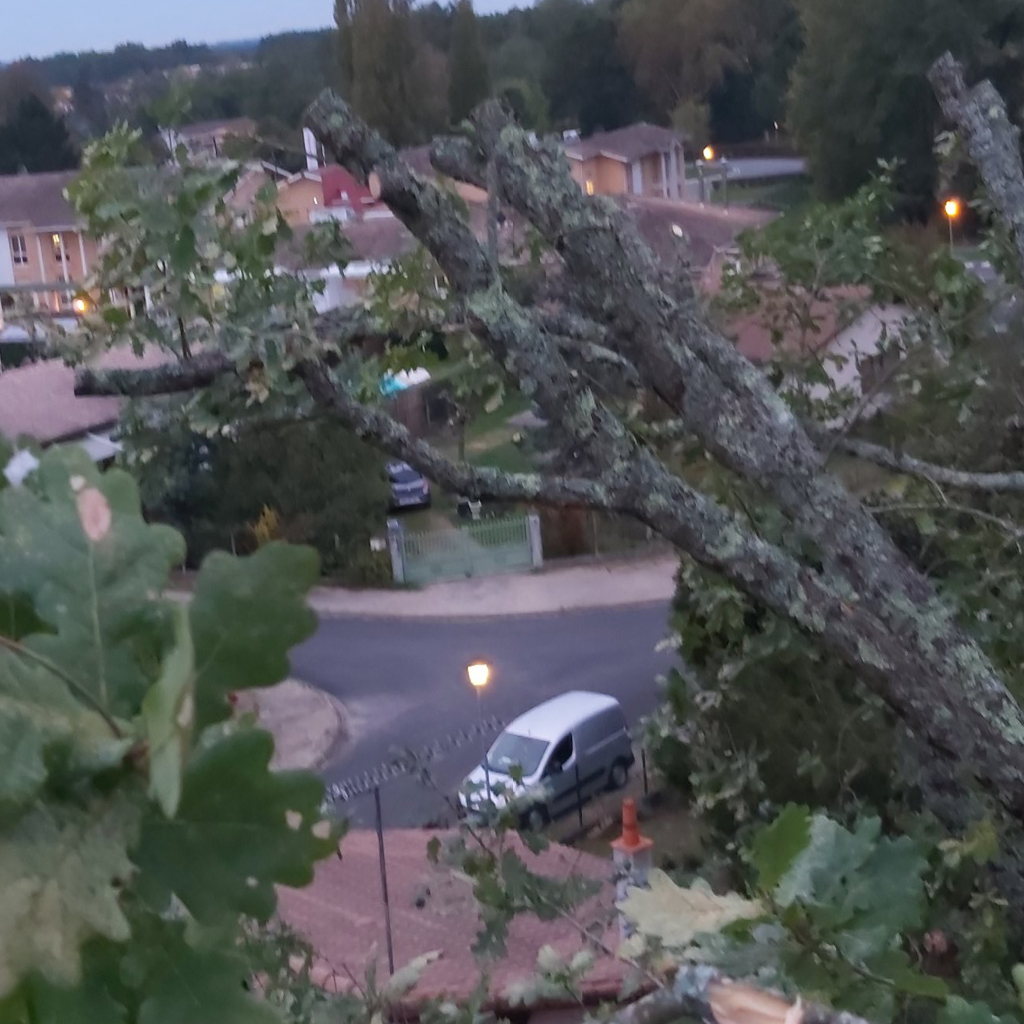 placeholder image-sq