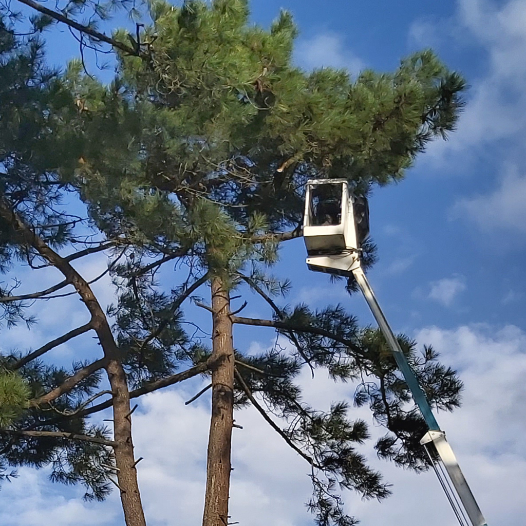 placeholder image-sq