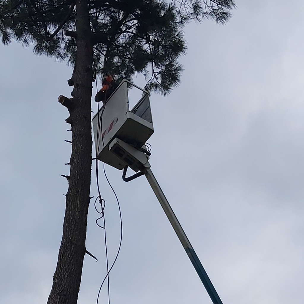 placeholder image-sq