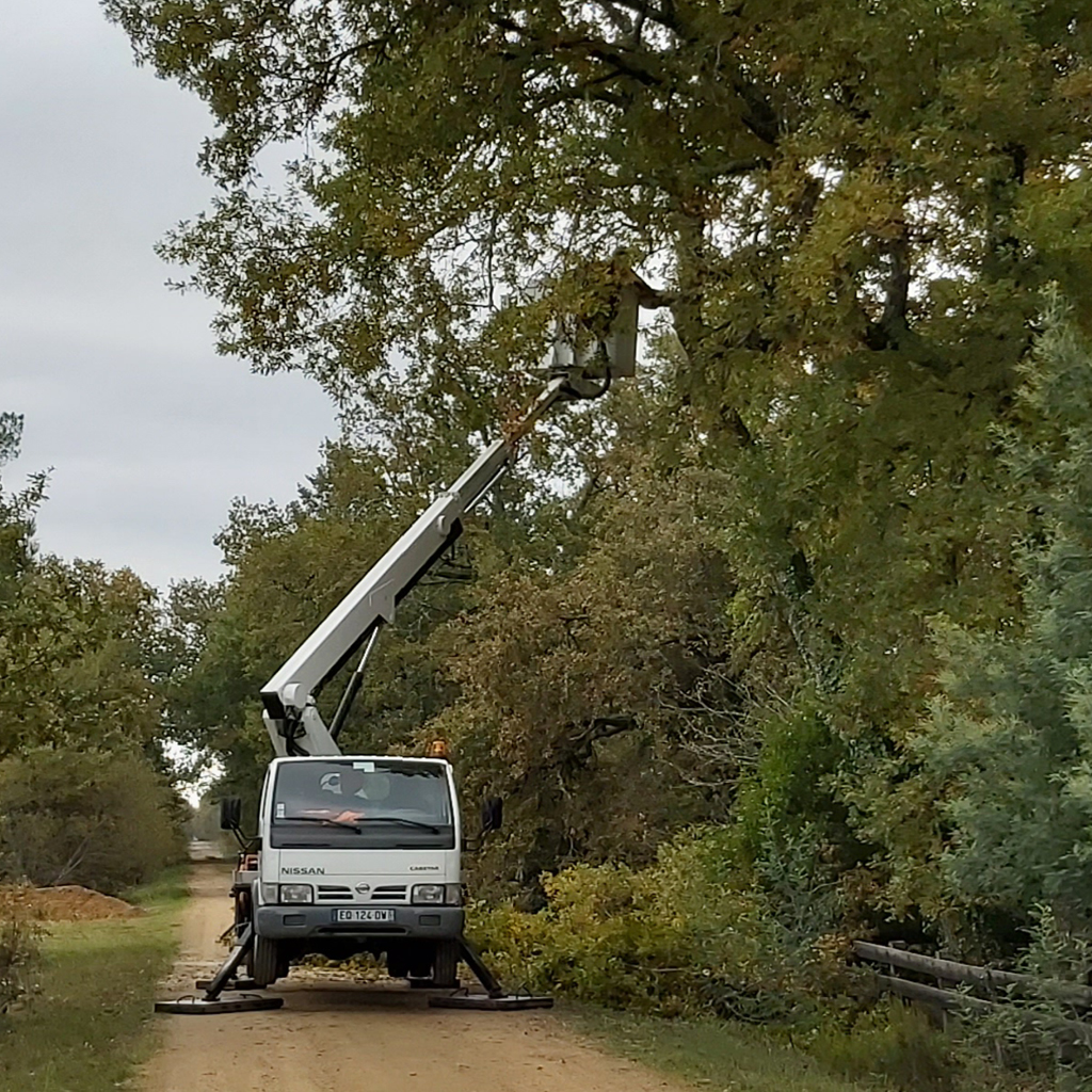 placeholder image-sq