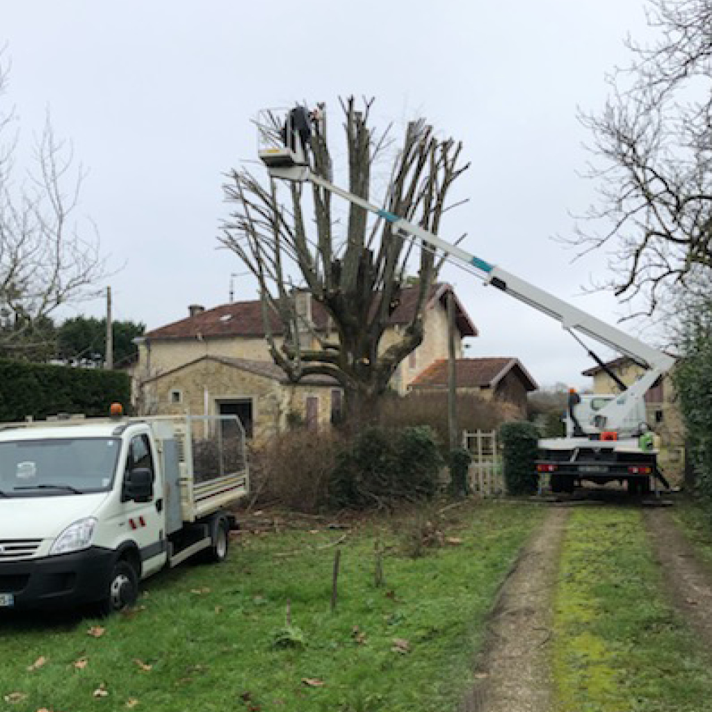 placeholder image-sq