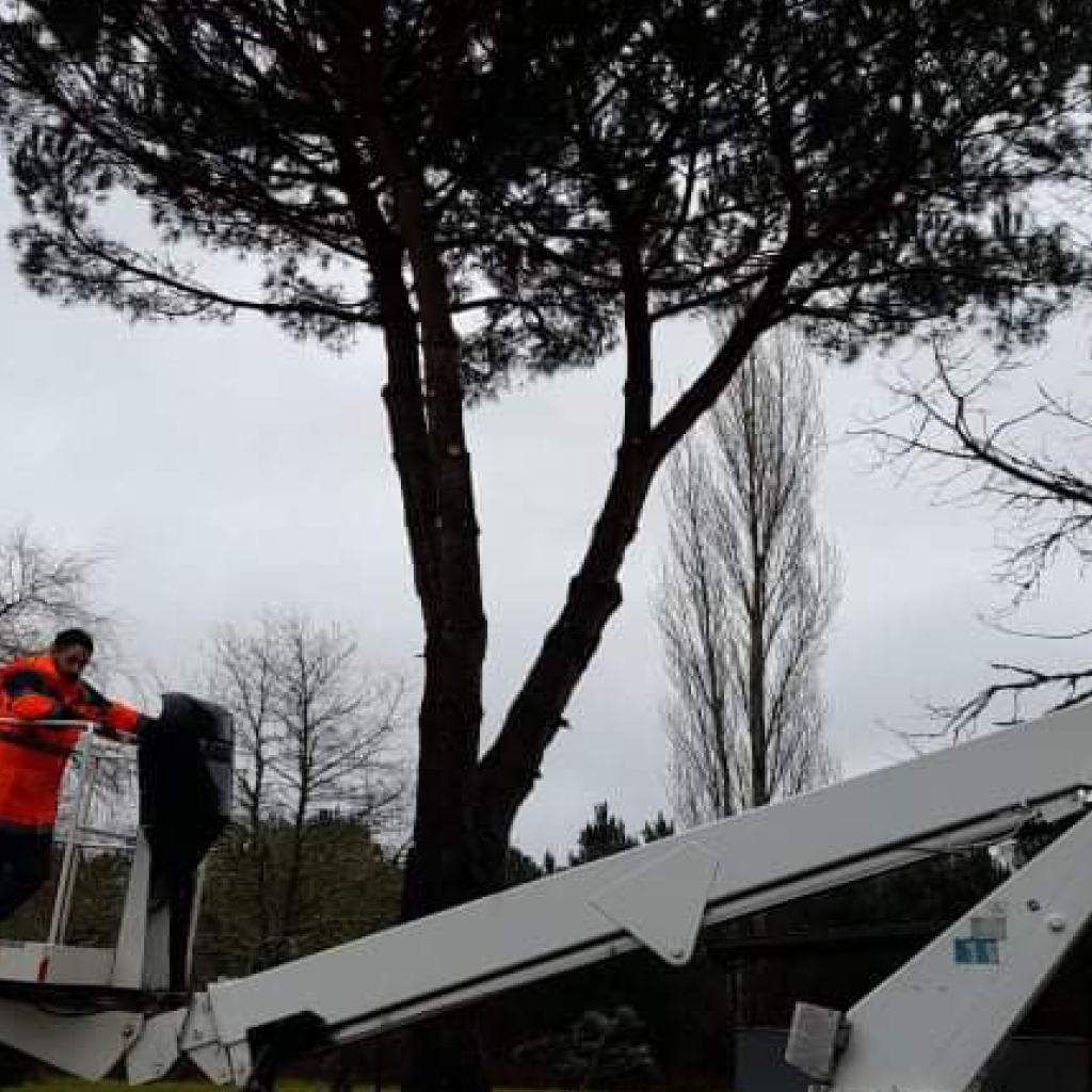 placeholder image-sq