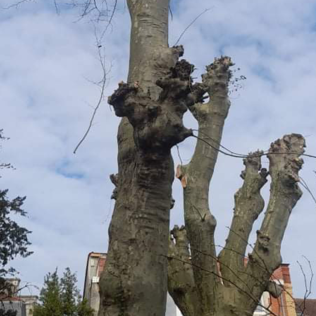 placeholder image-sq