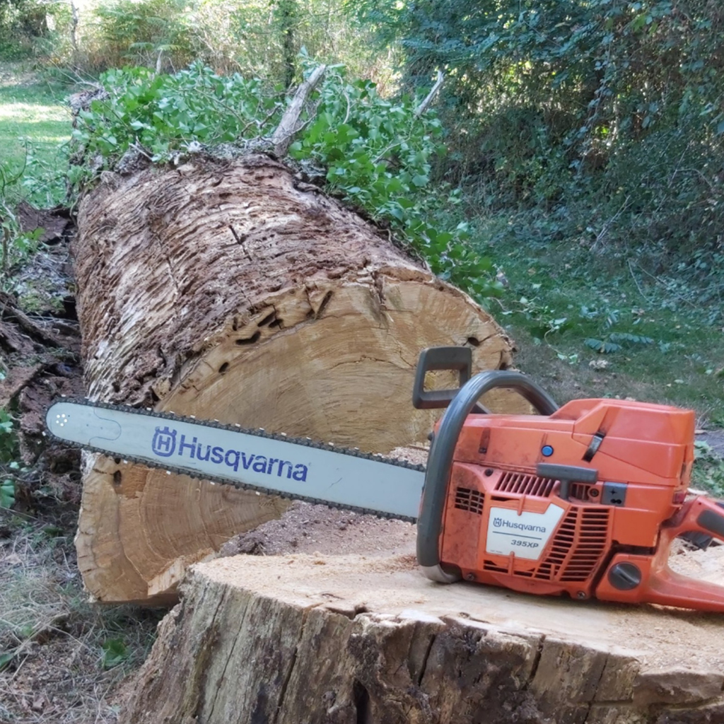 placeholder image-sq