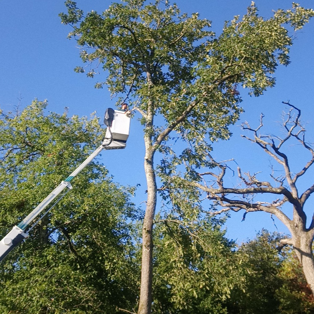 placeholder image-sq