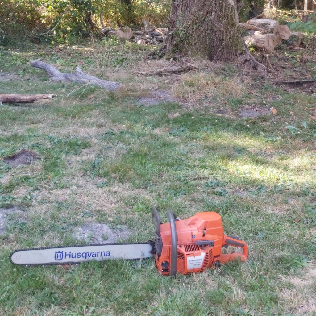 placeholder image-sq